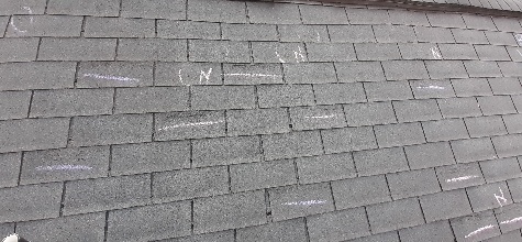 Insurance claim assistance photo 2