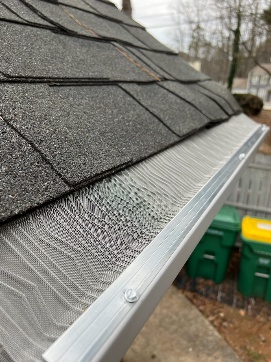 Mesh photo 1