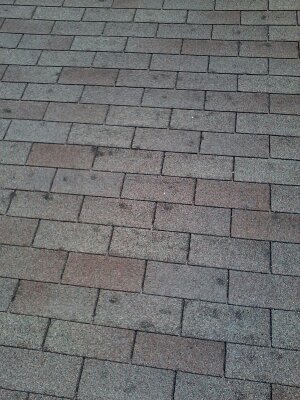 Repairs photo 1