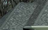 Shingles photo 1