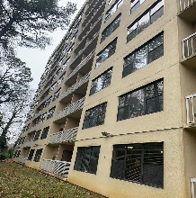 Window replacements photo 8