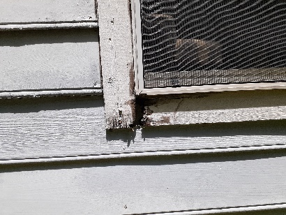 Window wood photo 1